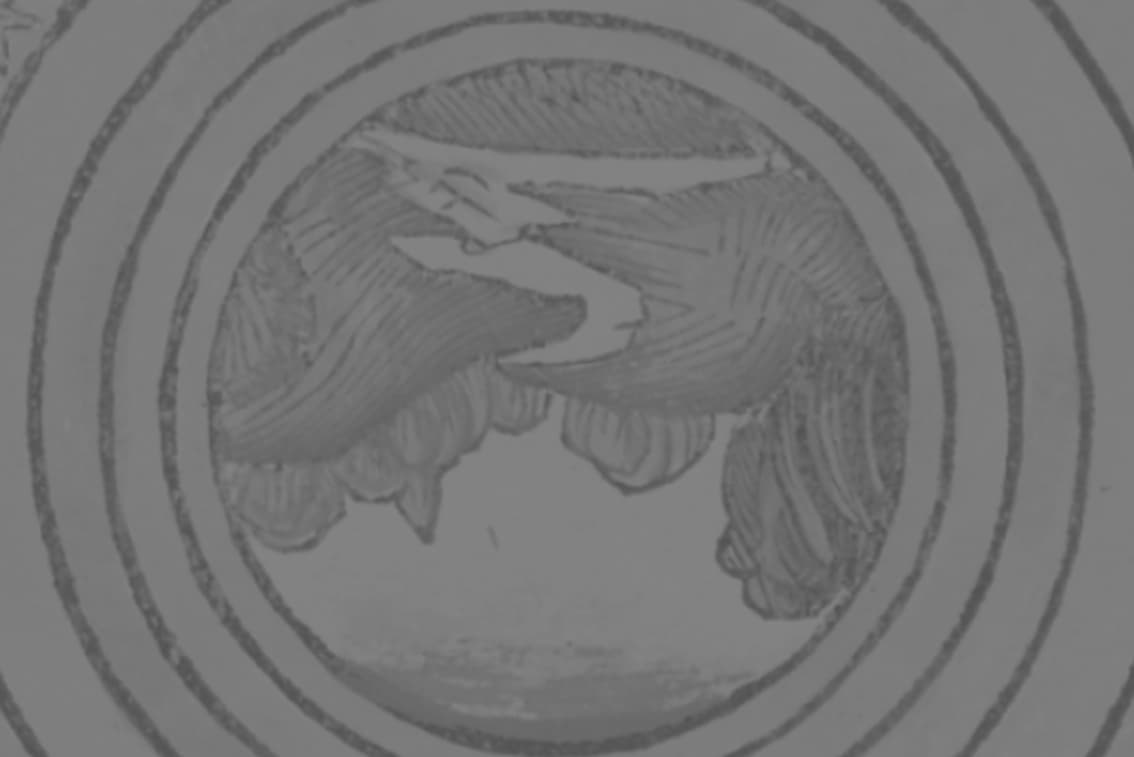 Space for future exhibition