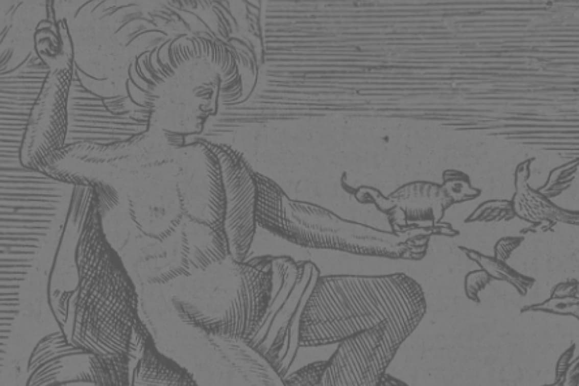 Space for future exhibition