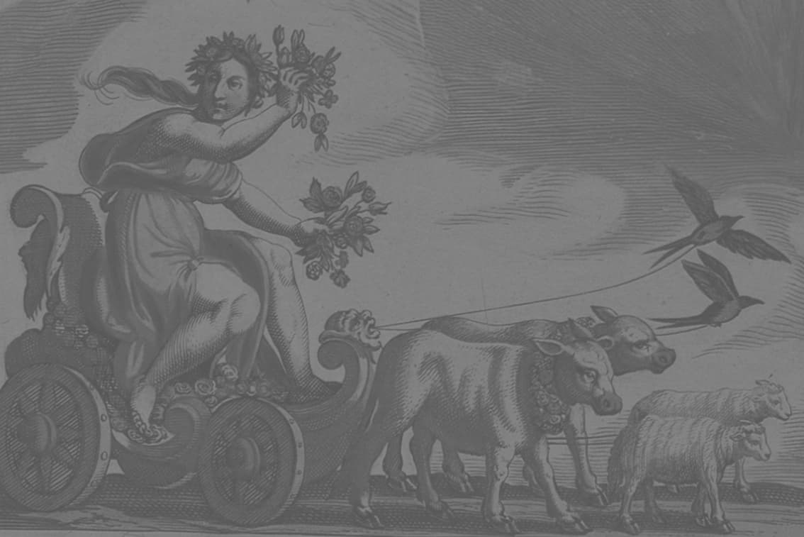 Space for future exhibition