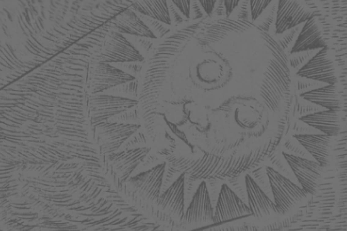 Space for future exhibition